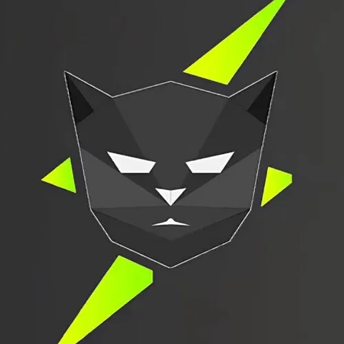 Identité visuelle SAW-R : tête de chat géométrique et éclairs verts